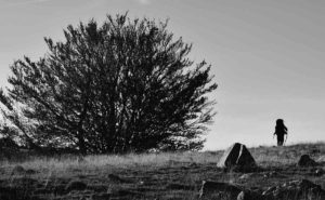 pellerin-et-arbre
